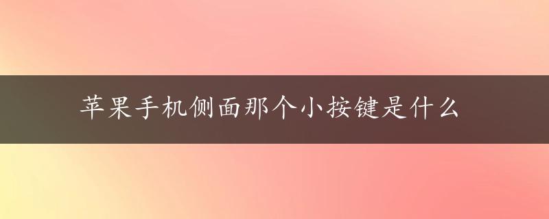 苹果手机侧面那个小按键是什么