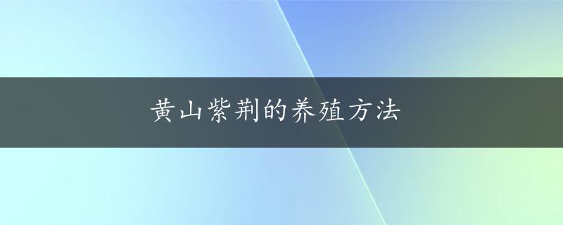 黄山紫荆的养殖方法