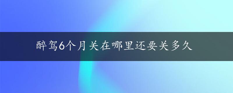 醉驾6个月关在哪里还要关多久