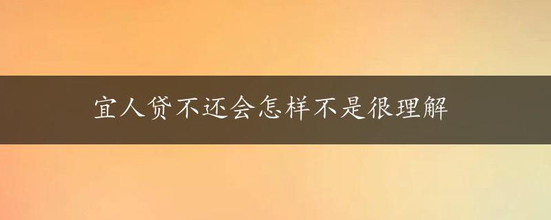 宜人贷不还会怎样不是很理解