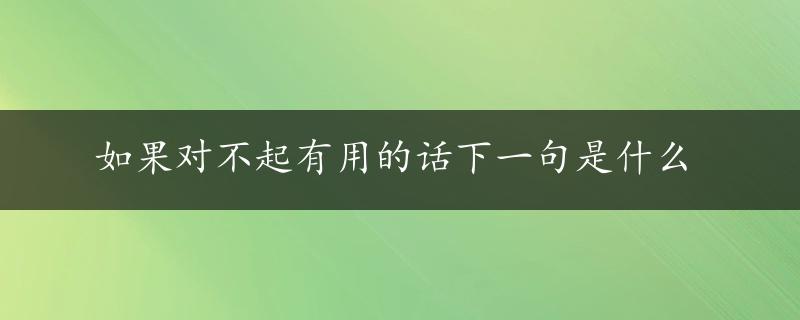 如果对不起有用的话下一句是什么