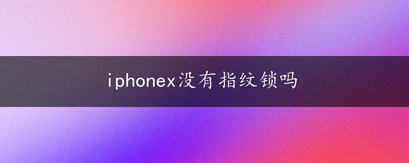 iphonex没有指纹锁吗