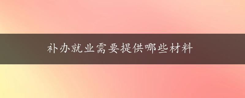 补办就业需要提供哪些材料