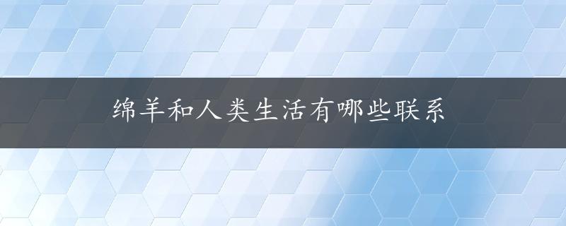 绵羊和人类生活有哪些联系