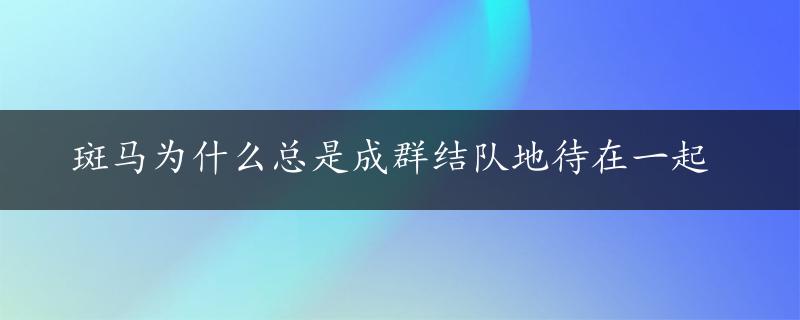 斑马为什么总是成群结队地待在一起