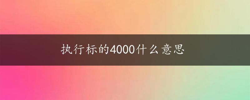 执行标的4000什么意思