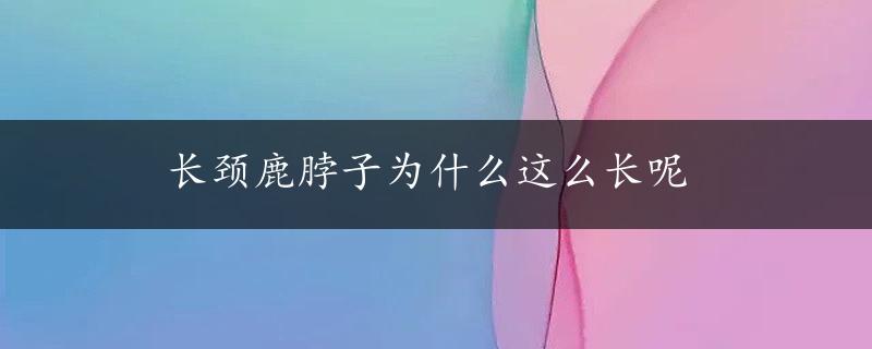 长颈鹿脖子为什么这么长呢