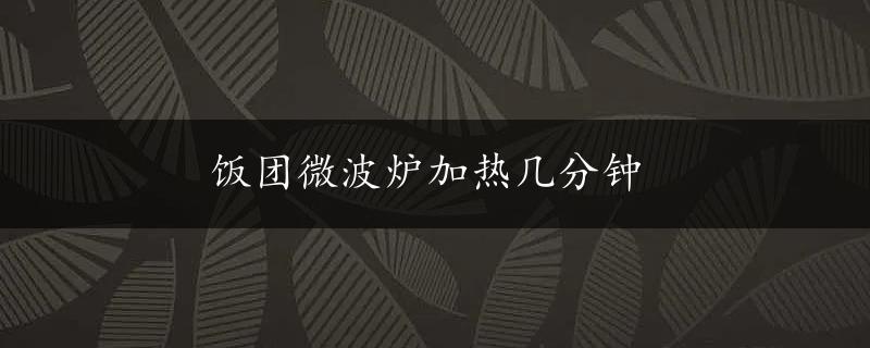 饭团微波炉加热几分钟