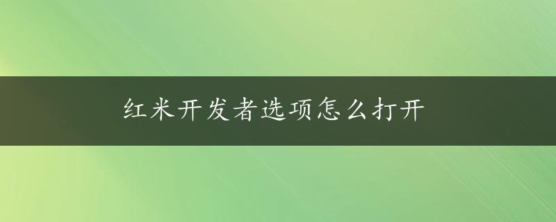 红米开发者选项怎么打开