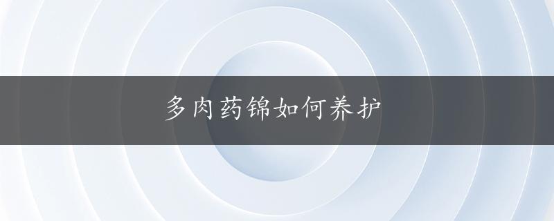 多肉药锦如何养护