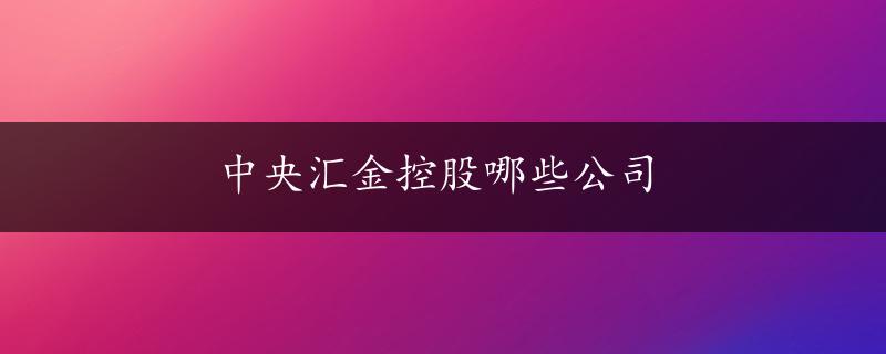 中央汇金控股哪些公司