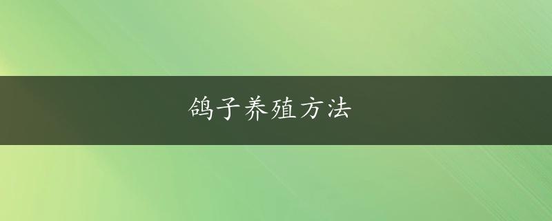 鸽子养殖方法