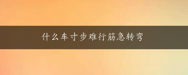 什么车寸步难行筋急转弯