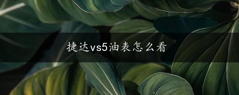 捷达vs5油表怎么看