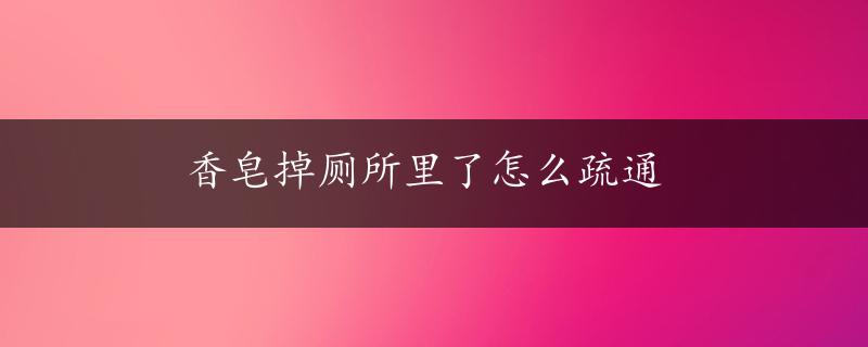 香皂掉厕所里了怎么疏通