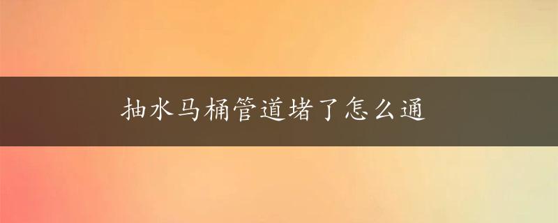 抽水马桶管道堵了怎么通