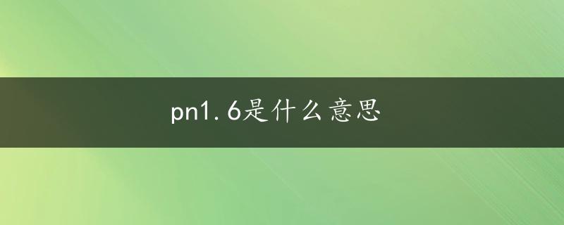 pn1.6是什么意思