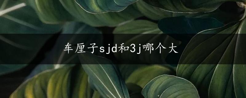 车厘子sjd和3j哪个大