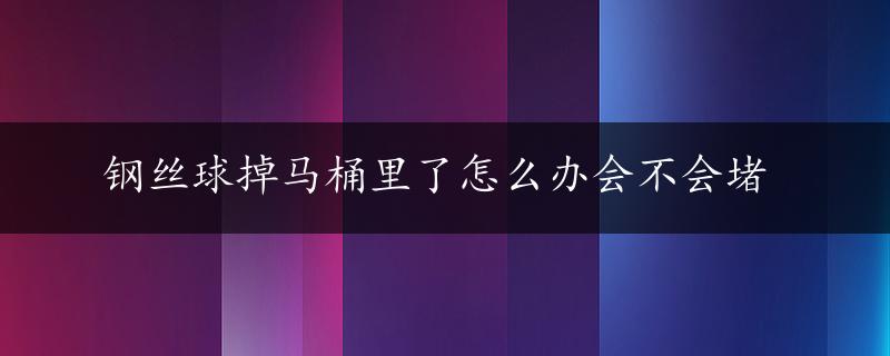 钢丝球掉马桶里了怎么办会不会堵