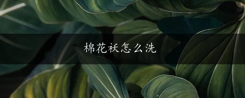 棉花袄怎么洗