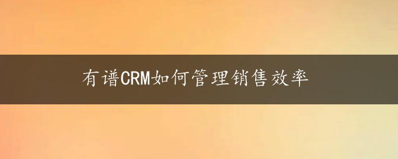 有谱CRM如何管理销售效率