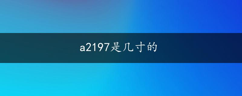 a2197是几寸的