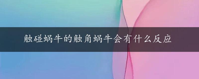 触碰蜗牛的触角蜗牛会有什么反应