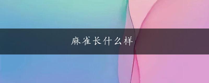 麻雀长什么样