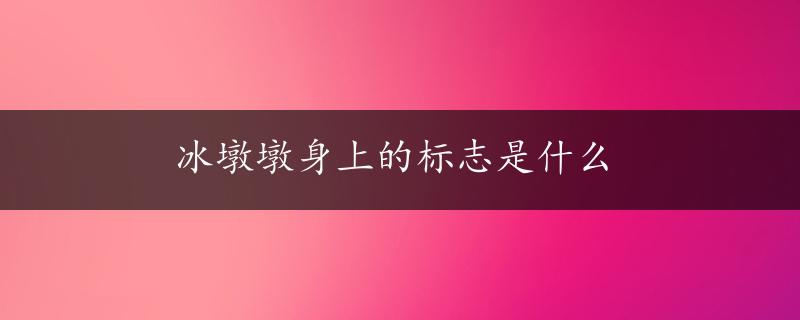 冰墩墩身上的标志是什么