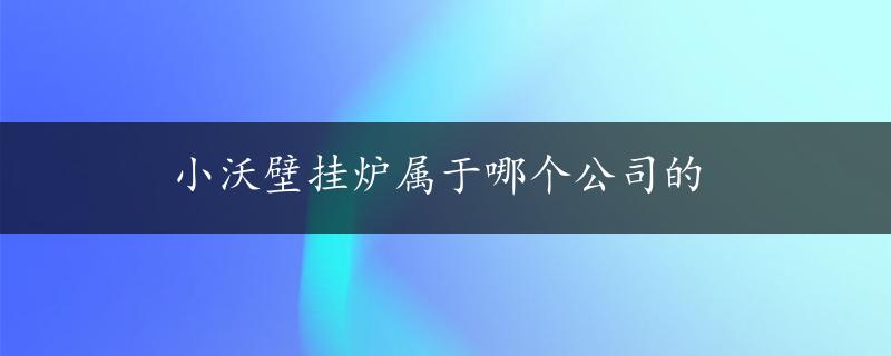 小沃壁挂炉属于哪个公司的