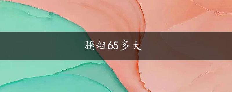 腿粗65多大