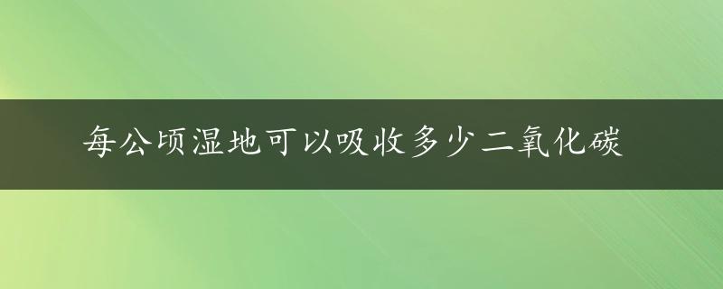 每公顷湿地可以吸收多少二氧化碳