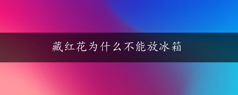 藏红花为什么不能放冰箱