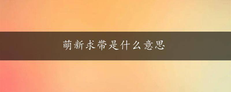 萌新求带是什么意思