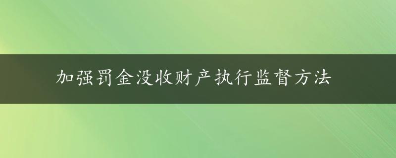 加强罚金没收财产执行监督方法