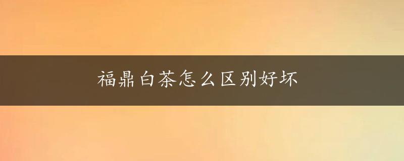 福鼎白茶怎么区别好坏