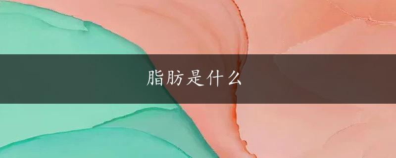 脂肪是什么