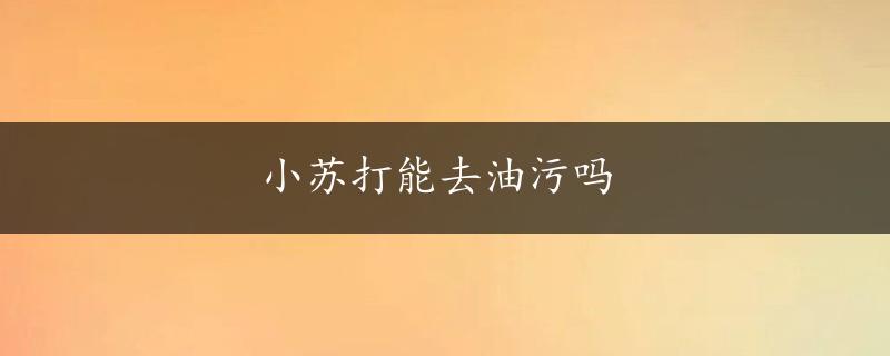 小苏打能去油污吗