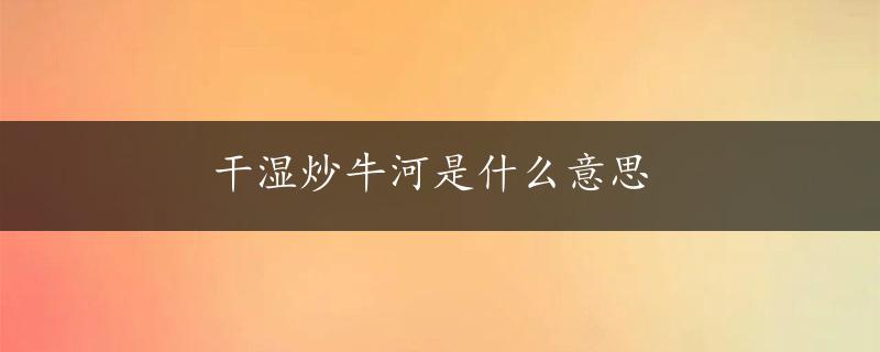 干湿炒牛河是什么意思