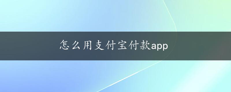 怎么用支付宝付款app