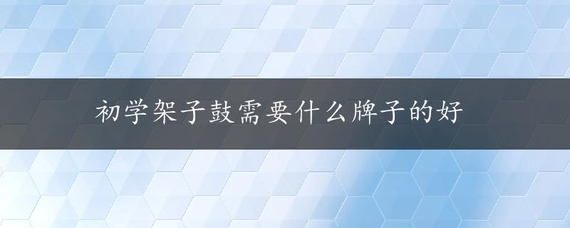 初学架子鼓需要什么牌子的好