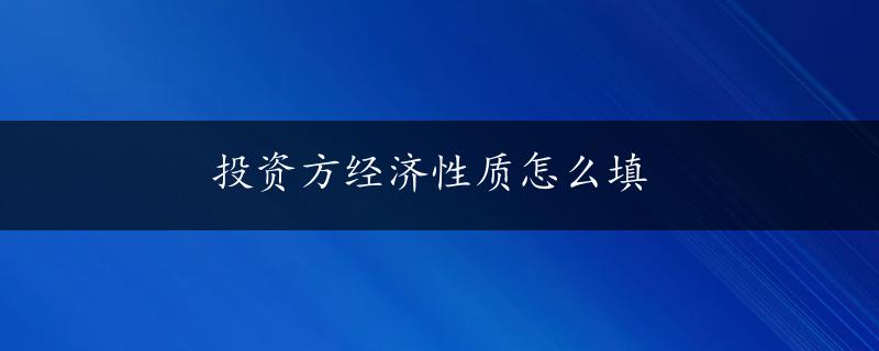 投资方经济性质怎么填