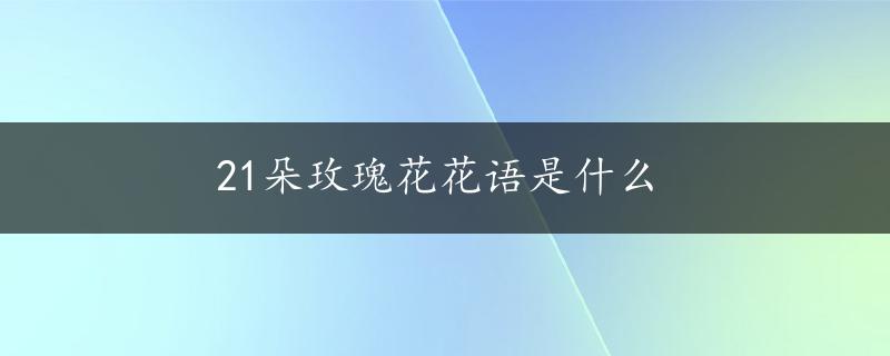 21朵玫瑰花花语是什么