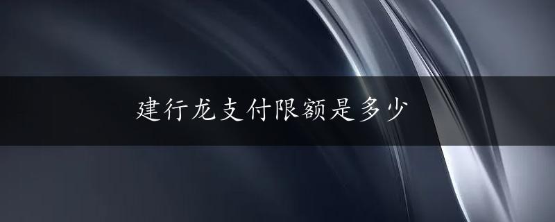 建行龙支付限额是多少