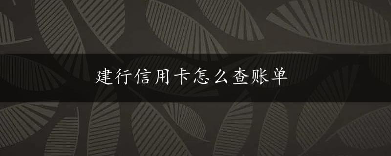 建行信用卡怎么查账单