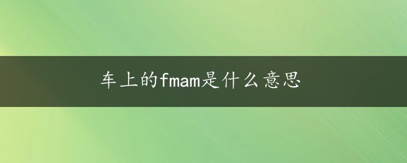 车上的fmam是什么意思