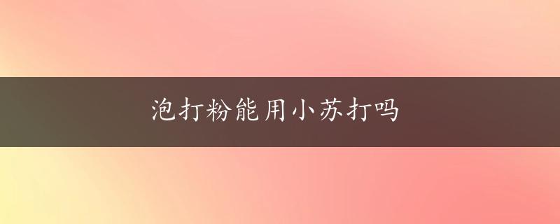 泡打粉能用小苏打吗