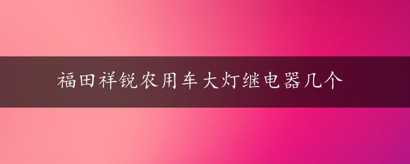 福田祥锐农用车大灯继电器几个