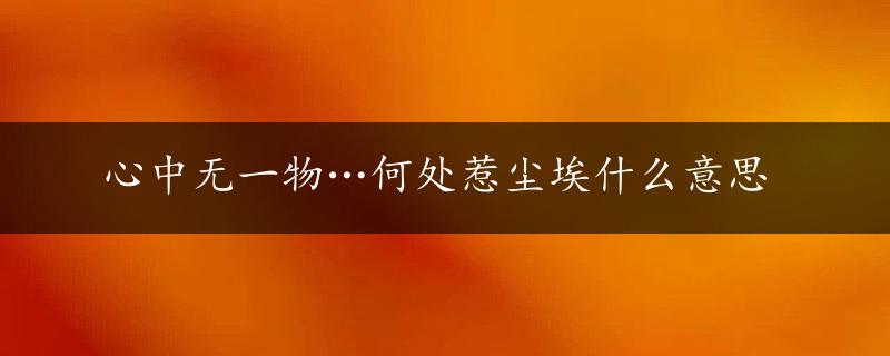 心中无一物…何处惹尘埃什么意思