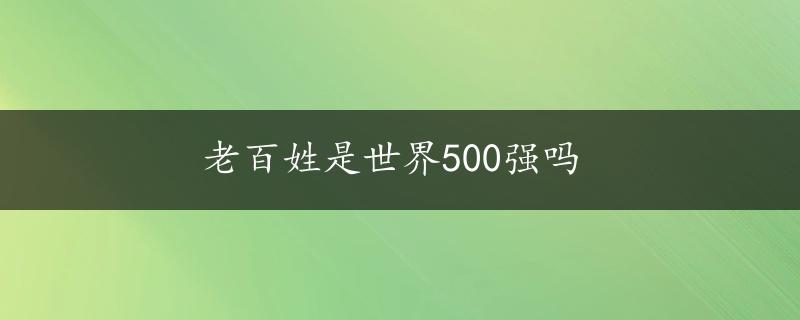 老百姓是世界500强吗